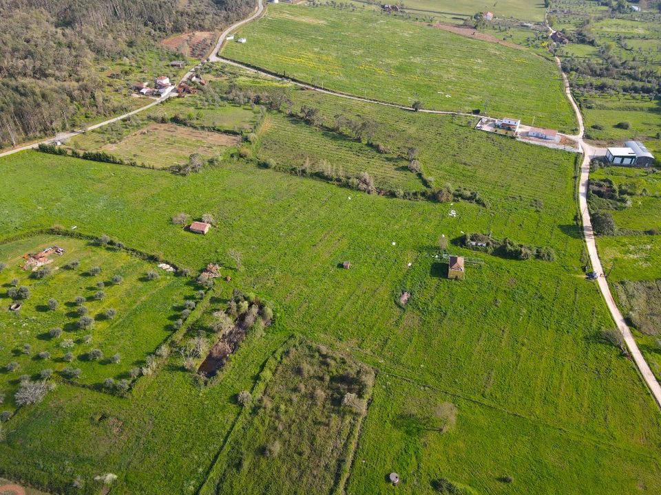Helårsgrund i Ferreira do Zezere, Santarem - foto 5