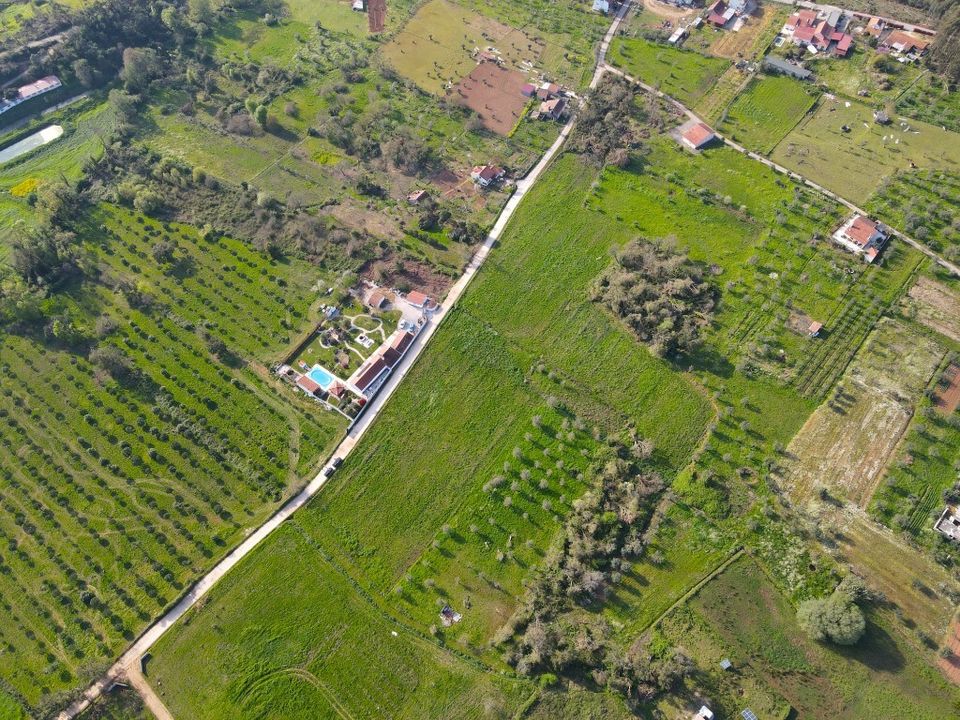 Helårsgrund i Ferreira do Zezere, Santarem - foto 4
