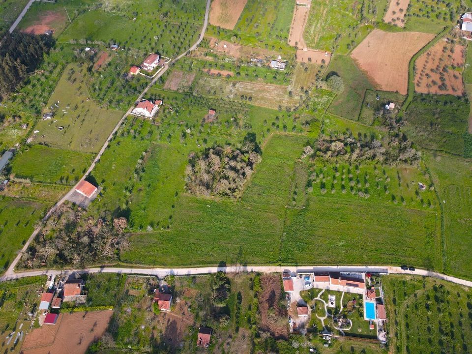 Helårsgrund i Ferreira do Zezere, Santarem - foto 5