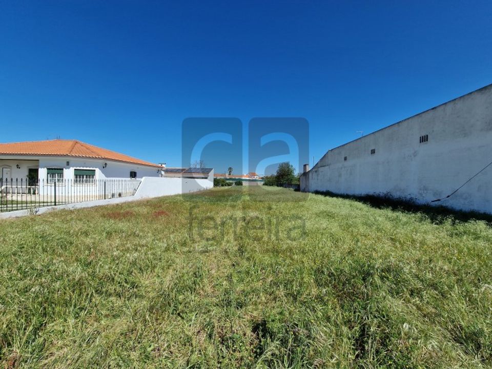 Tomt i Alpiarca, Santarem - bilde 5