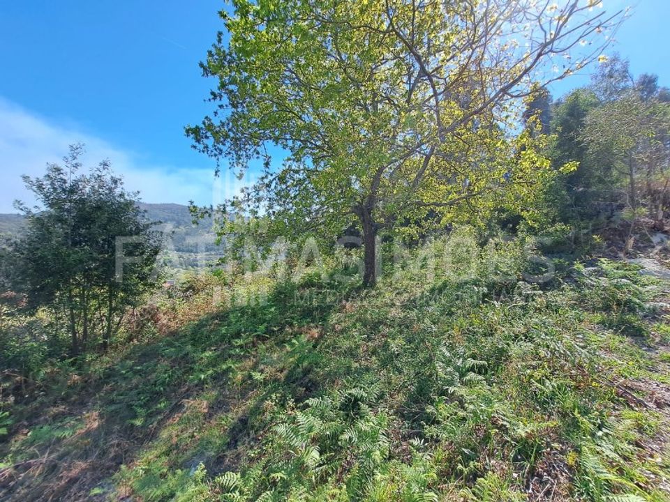 Helårsgrund i Vila Praia de Ancora, Viana do Castelo - foto 3
