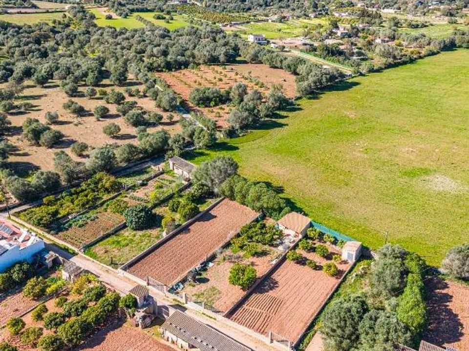 Tomt i Sant Llorenc Des Cardassar, Mallorca - bilde 5