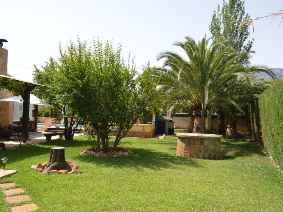 Finca i Jalon, Alicante - foto 5