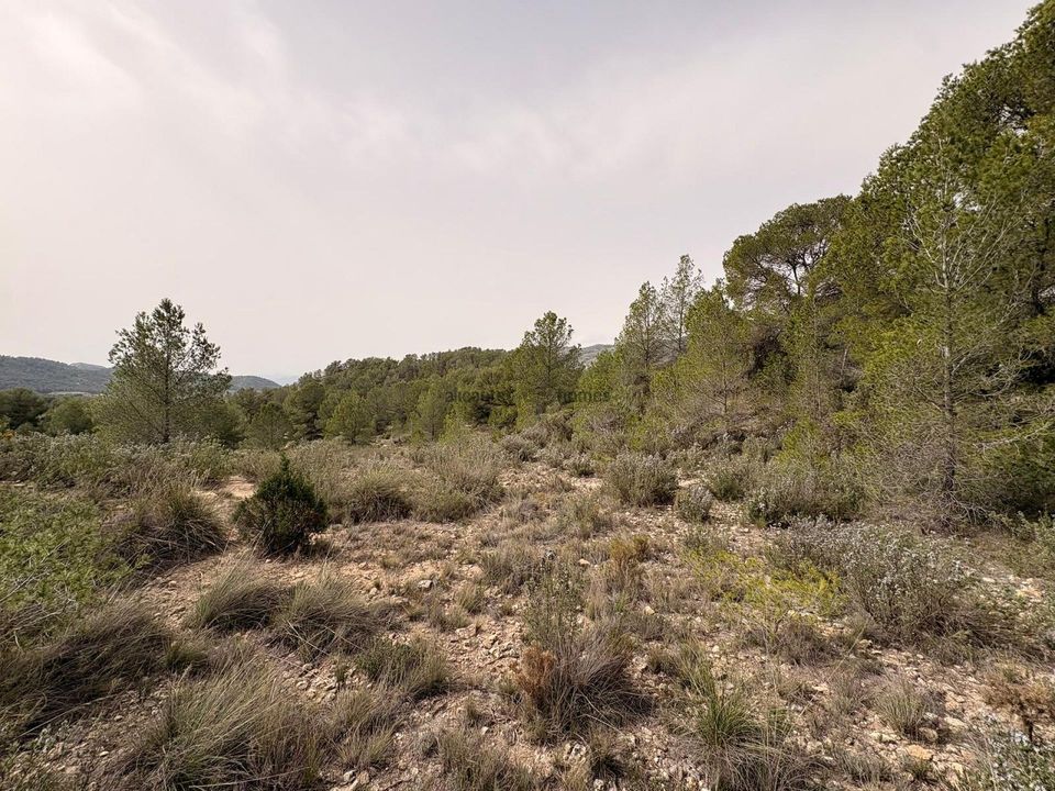 Grond in Petrer, Alicante - foto 1