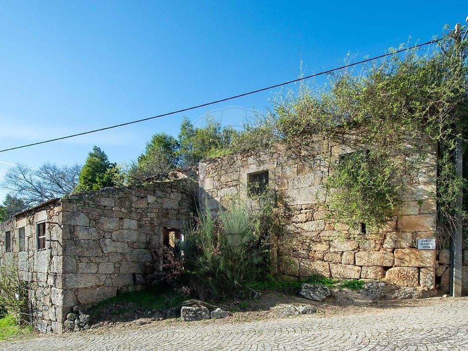 Boerderij in Viseu, Viseu - foto 2