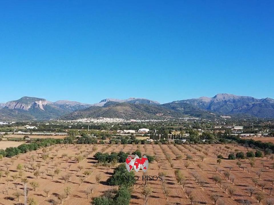 Helårsgrund i Inca, Mallorca - foto 2