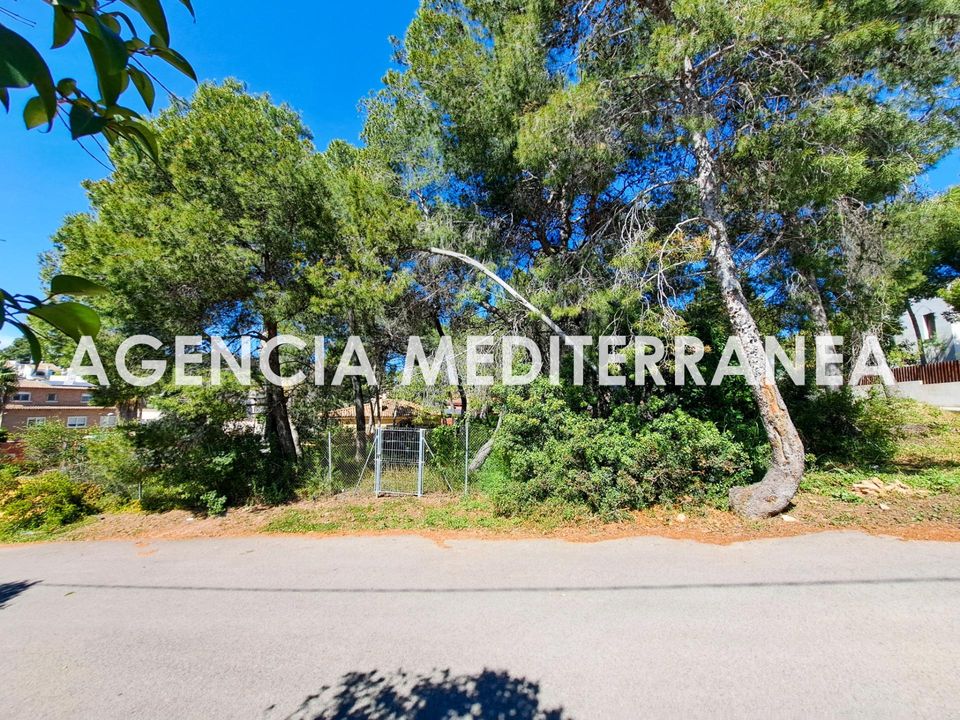 Terra a Paterna, Valencia - foto 1