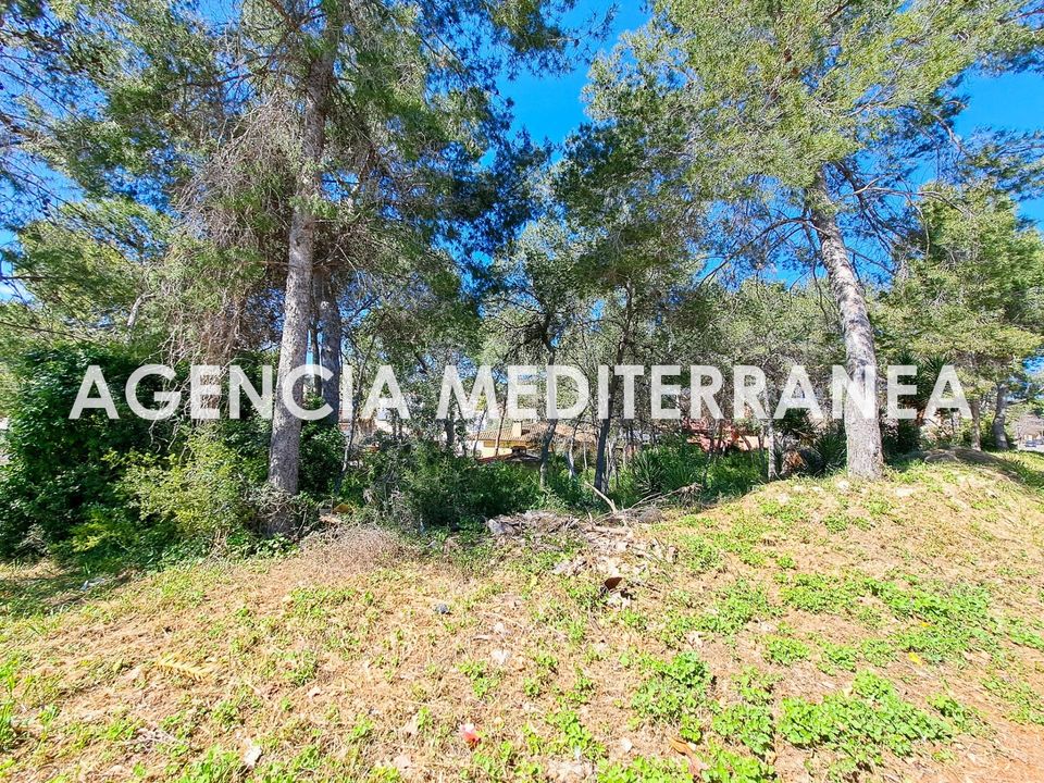 Terra a Paterna, Valencia - foto 2