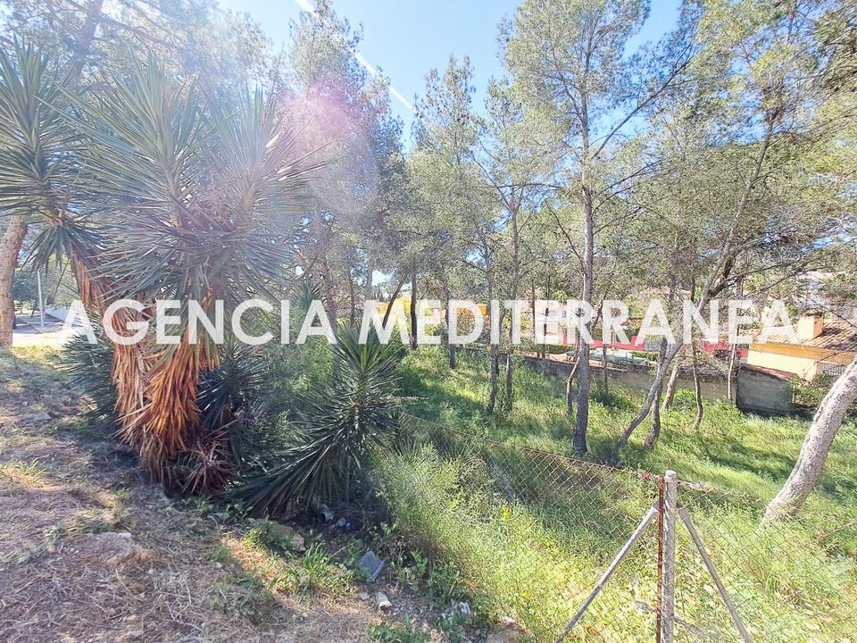 Terra a Paterna, Valencia - foto 3