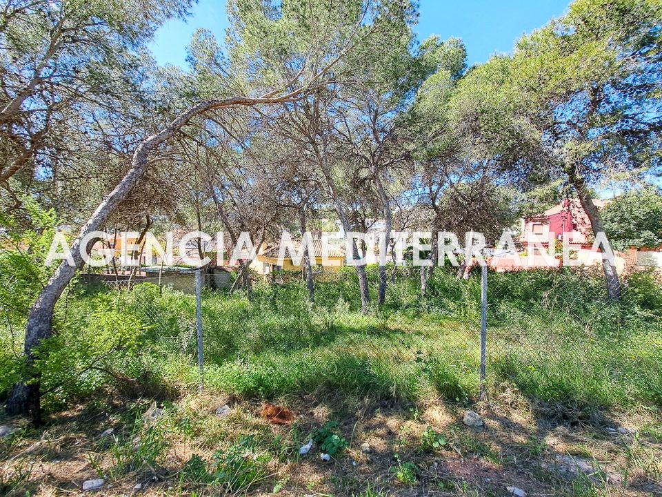 Terra a Paterna, Valencia - foto 5