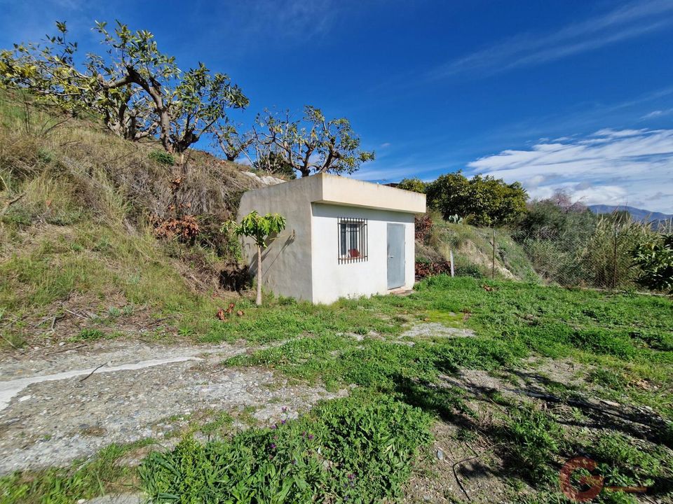 Finca i Salobrena, Granada - foto 1