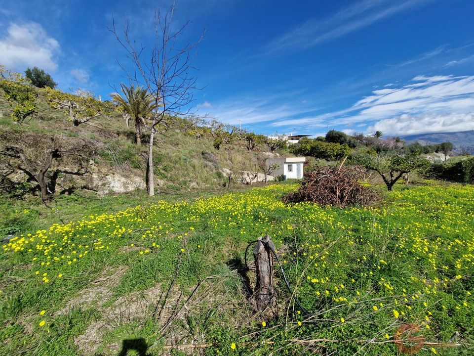 Finca i Salobrena, Granada - foto 2