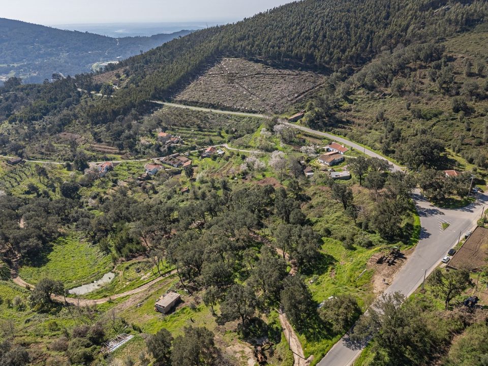Farm i Monchique, Faro - foto 3