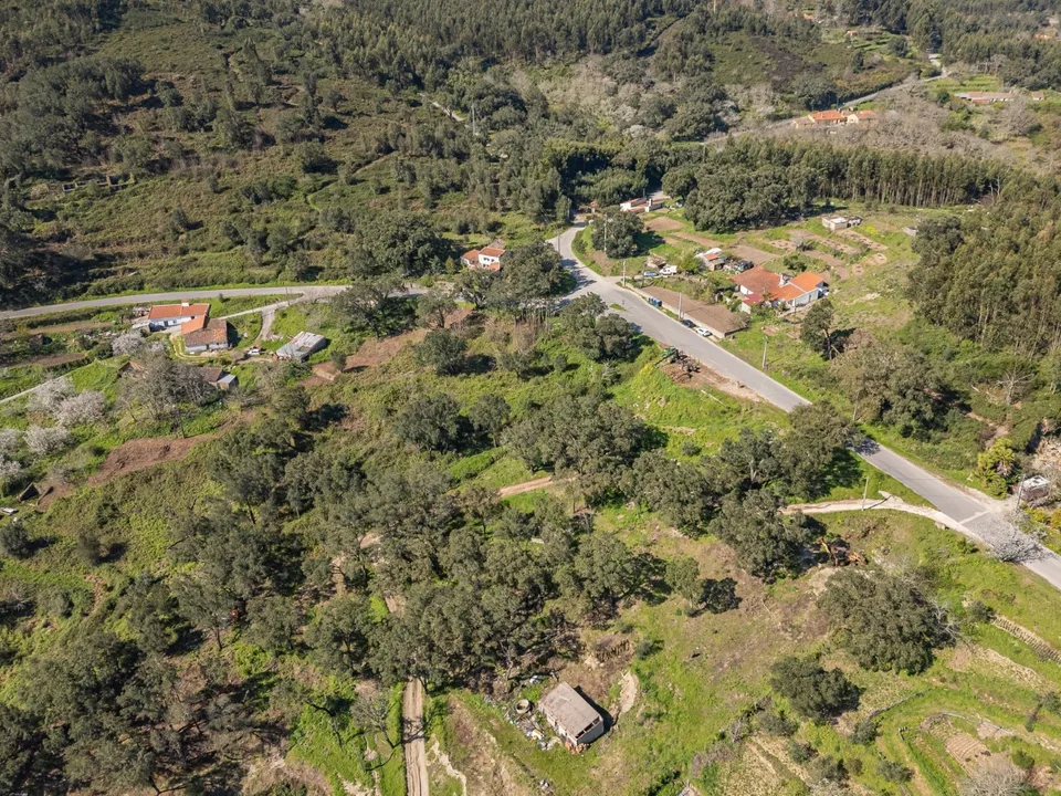 Farm i Monchique, Faro - foto 4