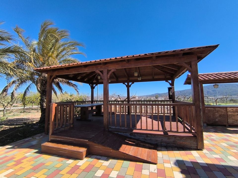 Villa i Pinoso, Alicante - foto 3