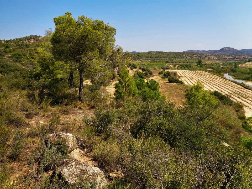 Finca en Batea, Tarragona - foto 5