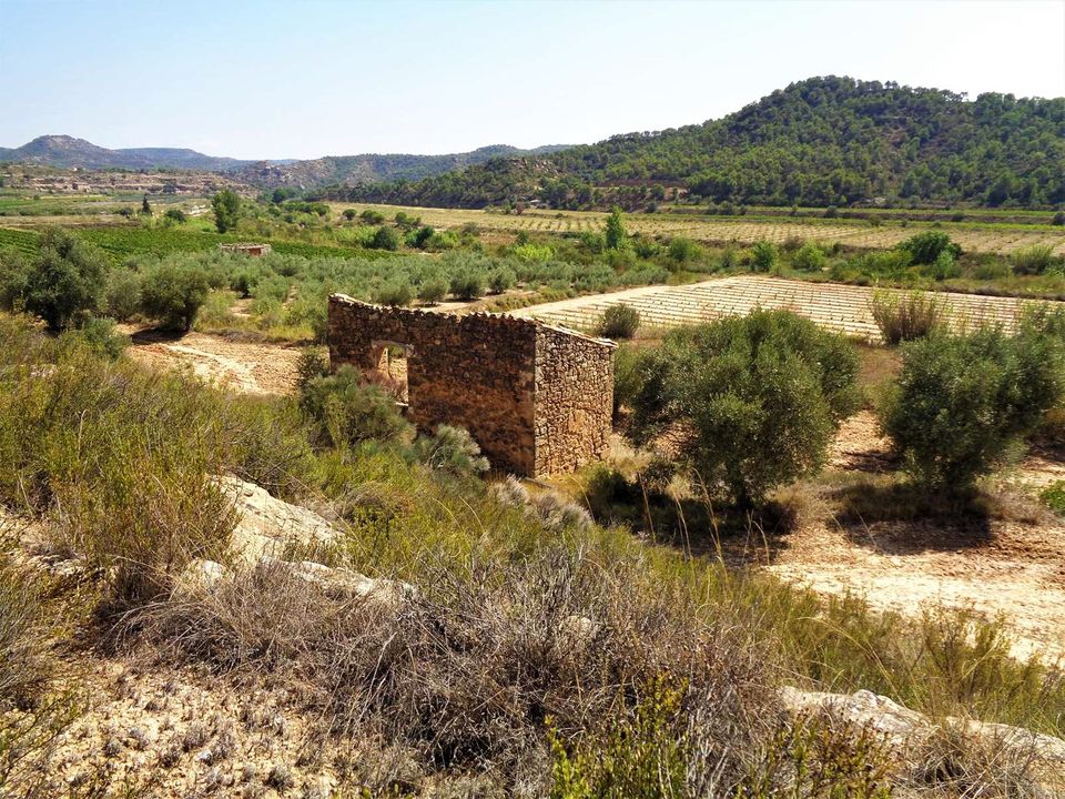 Finca en Batea, Tarragona - foto 1