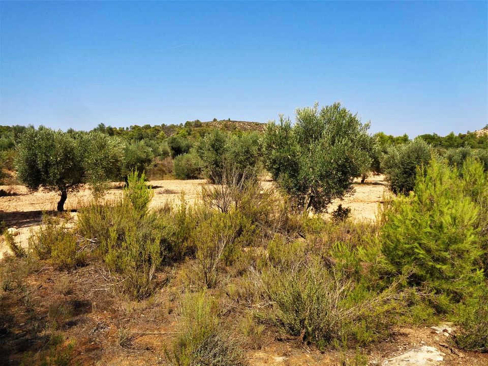 Finca en Batea, Tarragona - foto 2