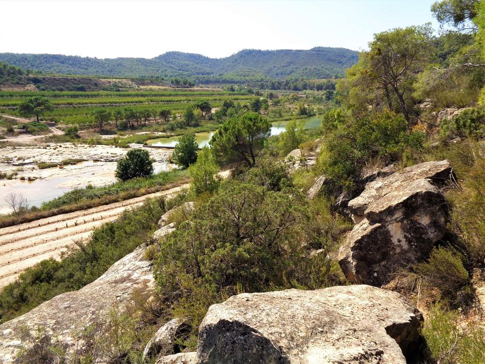 Finca en Batea, Tarragona - foto 4