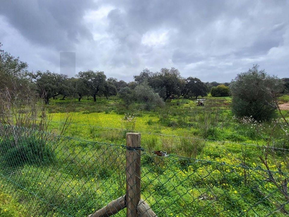 Helårsgrund i Silves, Faro - foto 1