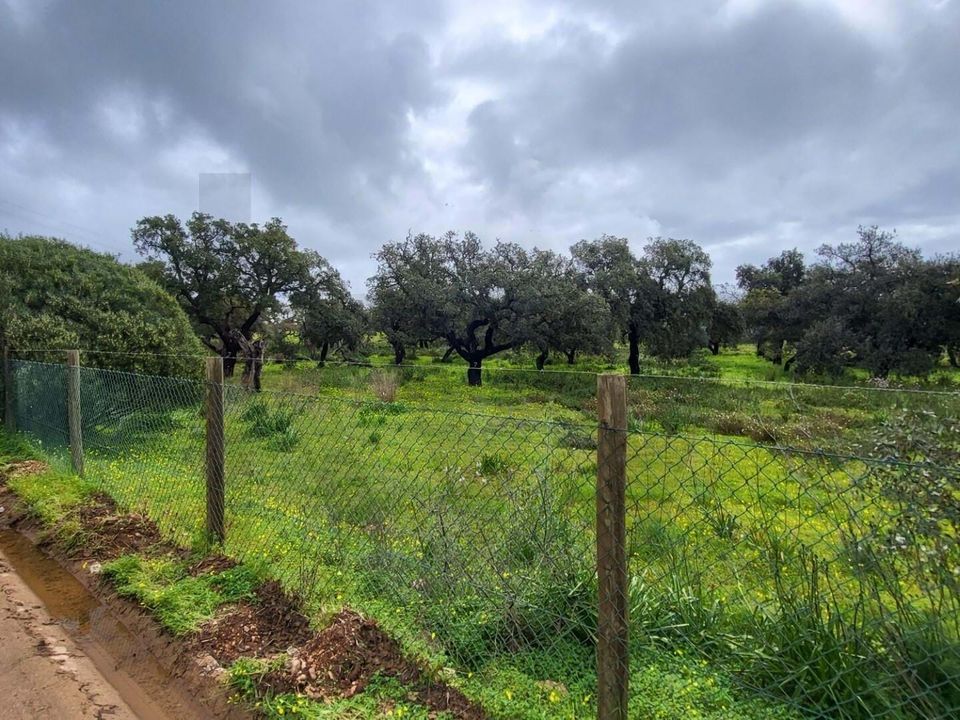 Helårsgrund i Silves, Faro - foto 2