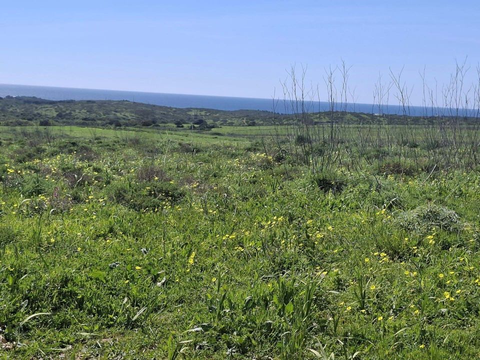 Helårsgrund i Sagres, Faro - foto 1