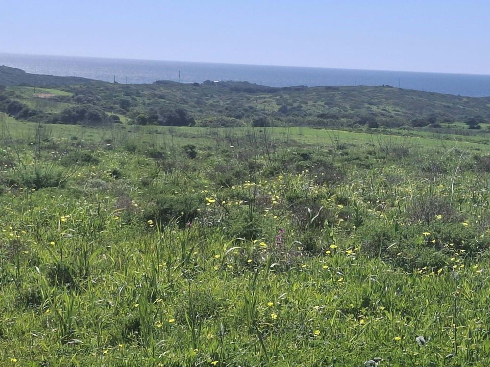 Helårsgrund i Sagres, Faro - foto 4