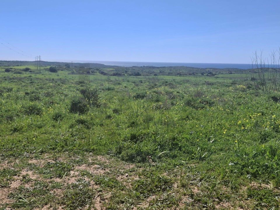 Helårsgrund i Sagres, Faro - foto 5