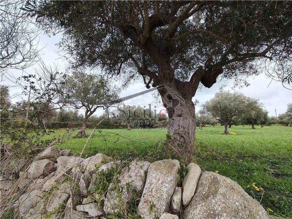Helårsgrund i Scicli, Ragusa - foto 2