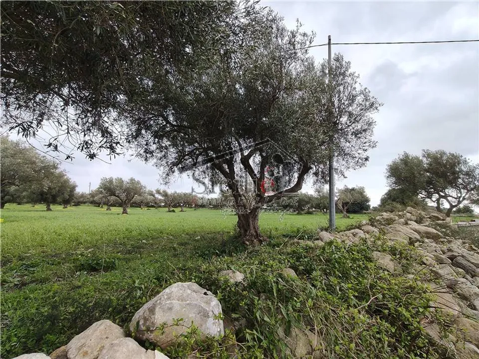 Helårsgrund i Scicli, Ragusa - foto 3