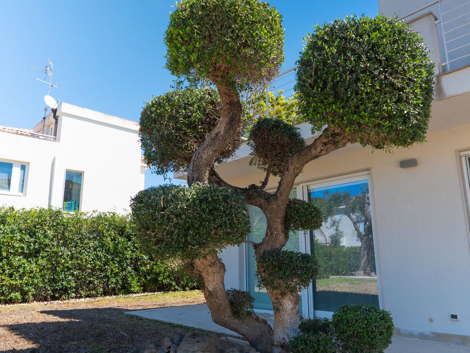 Villa a Siracusa, Siracusa - foto 3