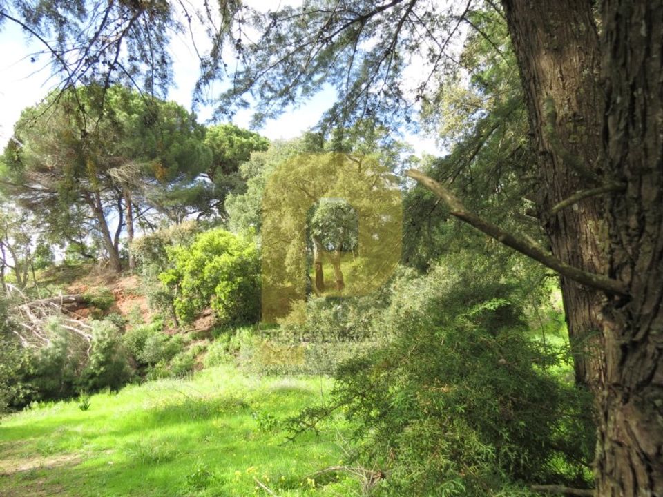 Helårsgrund i Palmela, Setubal - foto 2