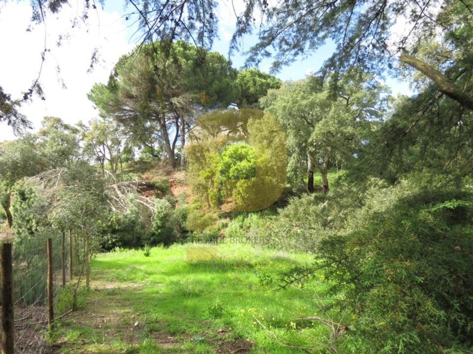 Helårsgrund i Palmela, Setubal - foto 3