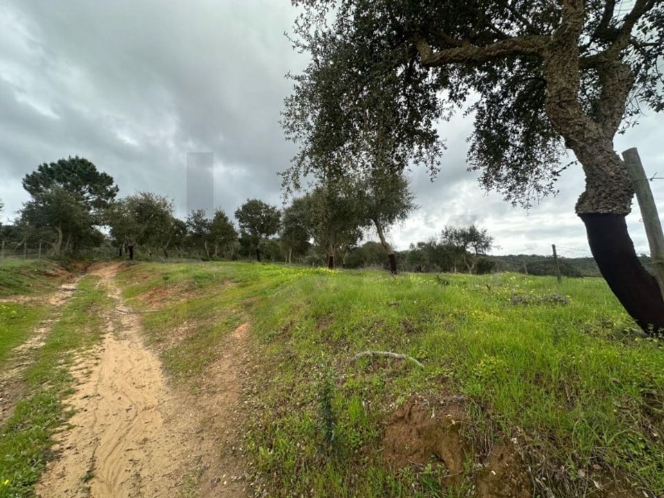 Gård i Vila Nova de Milfontes, Beja - bilde 1