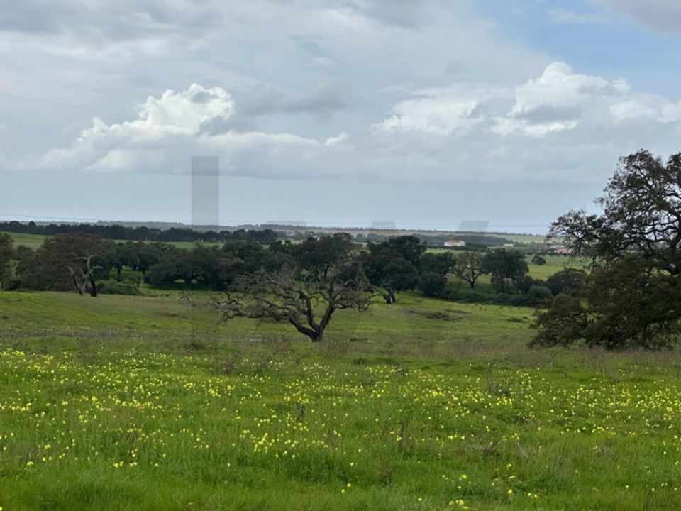 Gård i Vila Nova de Milfontes, Beja - bilde 2