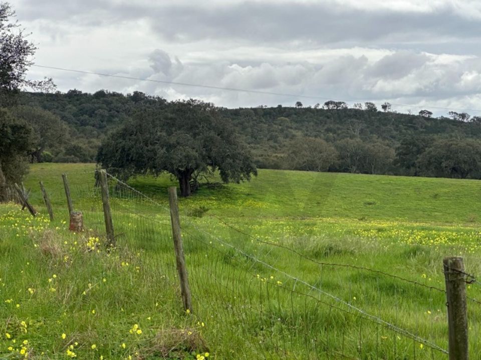 Gård i Vila Nova de Milfontes, Beja - bilde 3
