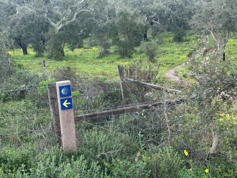 Gård i Vila Nova de Milfontes, Beja - bilde 4