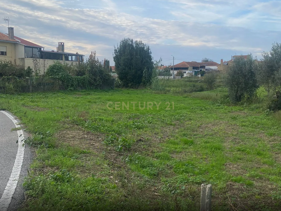 Helårsgrund i Anadia, Aveiro - foto 1