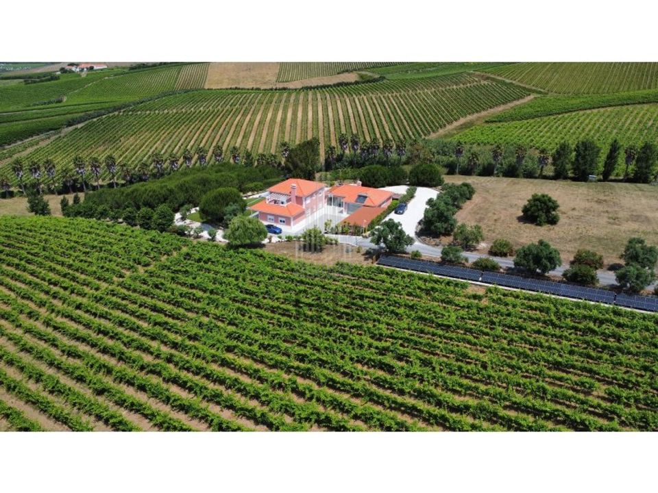 Farm i Alenquer, Lisbon - foto 1