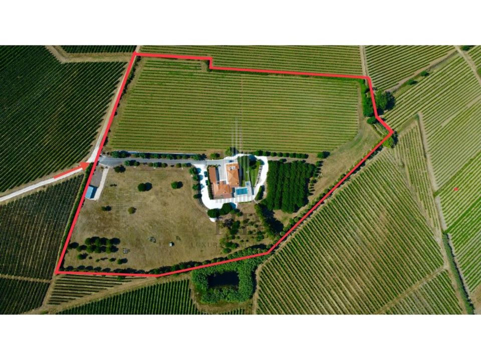 Farm i Alenquer, Lisbon - foto 2