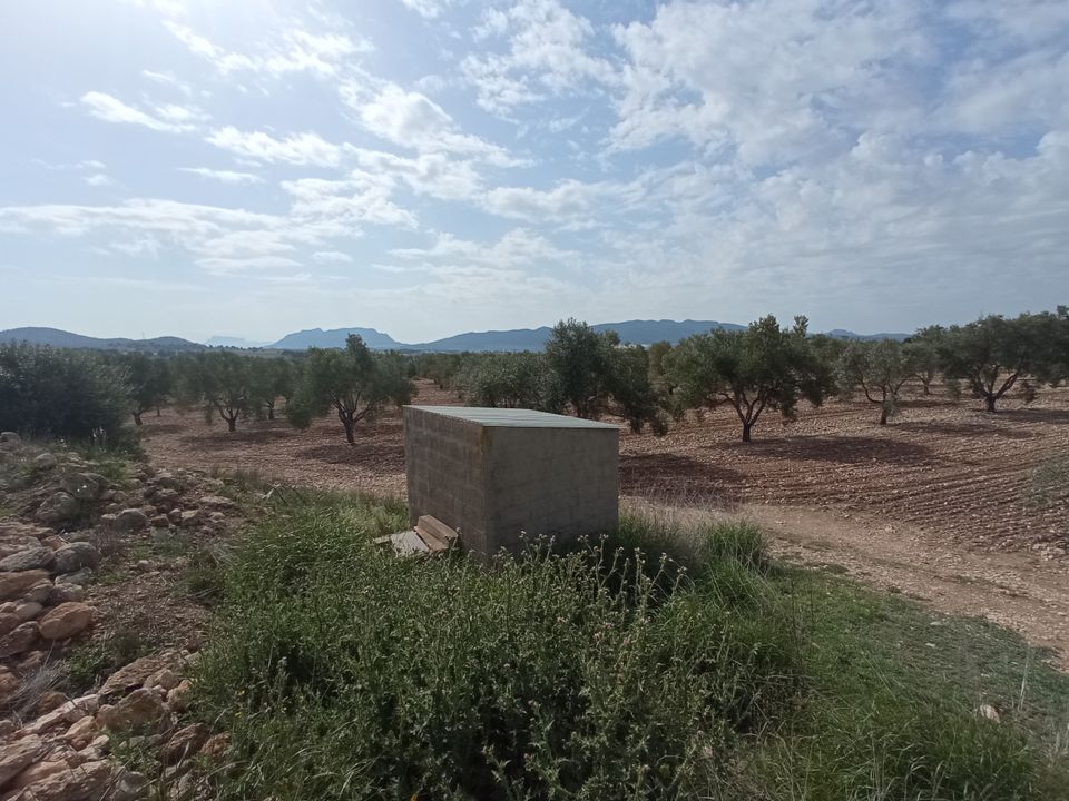 Helårsgrund i Salinas, Alicante - foto 1