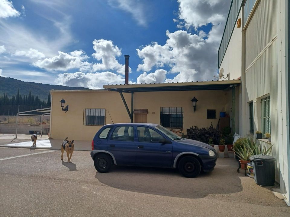 Landejendom i Monovar, Alicante - foto 2