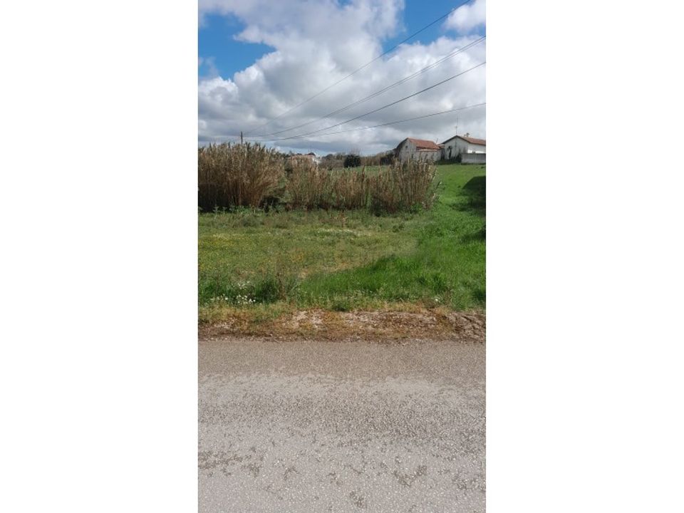 Helårsgrund i Alcobaca, Leiria - foto 3