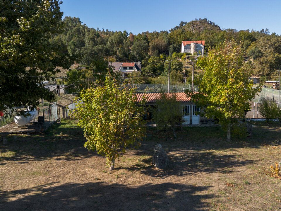 Farm i Marco de Canaveses, Porto - foto 4