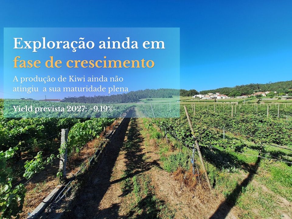 Helårsgrund i Chorente, Goios, Courel, Pedra Furada e Gueral, Braga - foto 4
