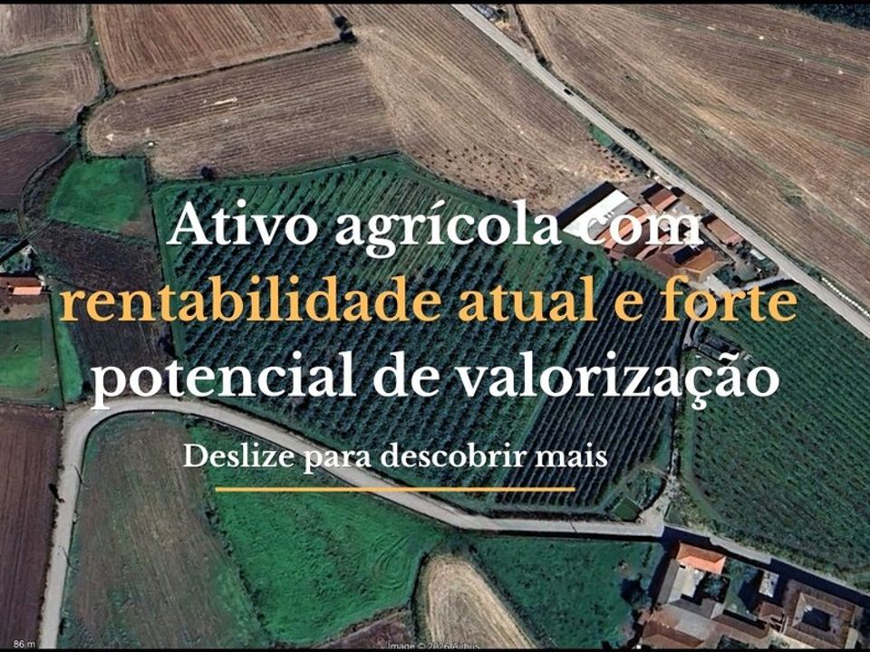Helårsgrund i Chorente, Goios, Courel, Pedra Furada e Gueral, Braga - foto 1