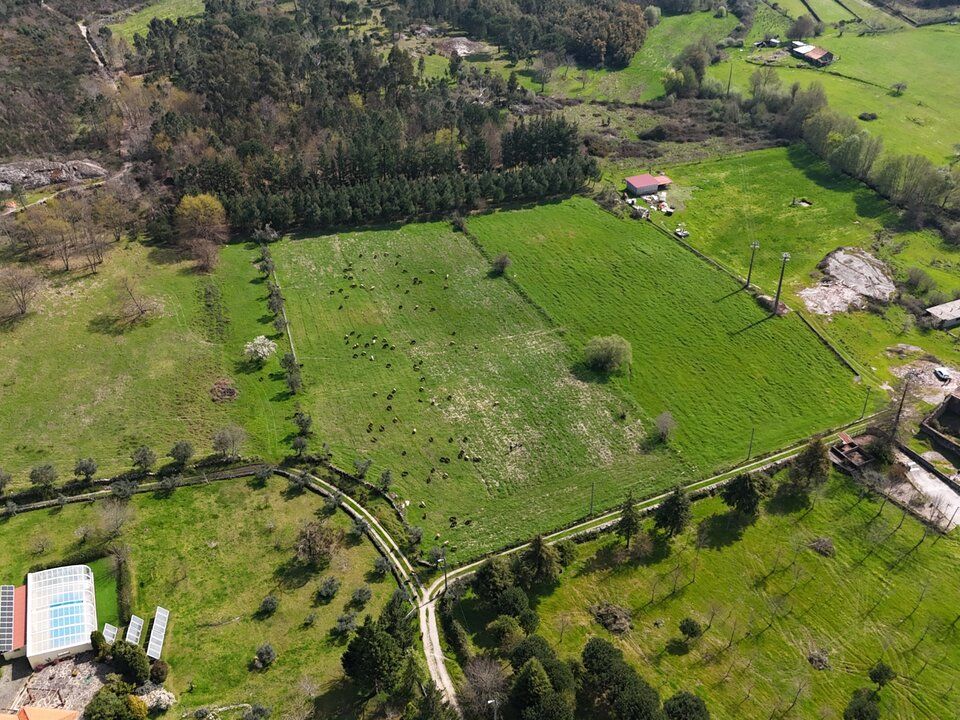 Farm i Tourais e Lajes, Guarda - foto 2