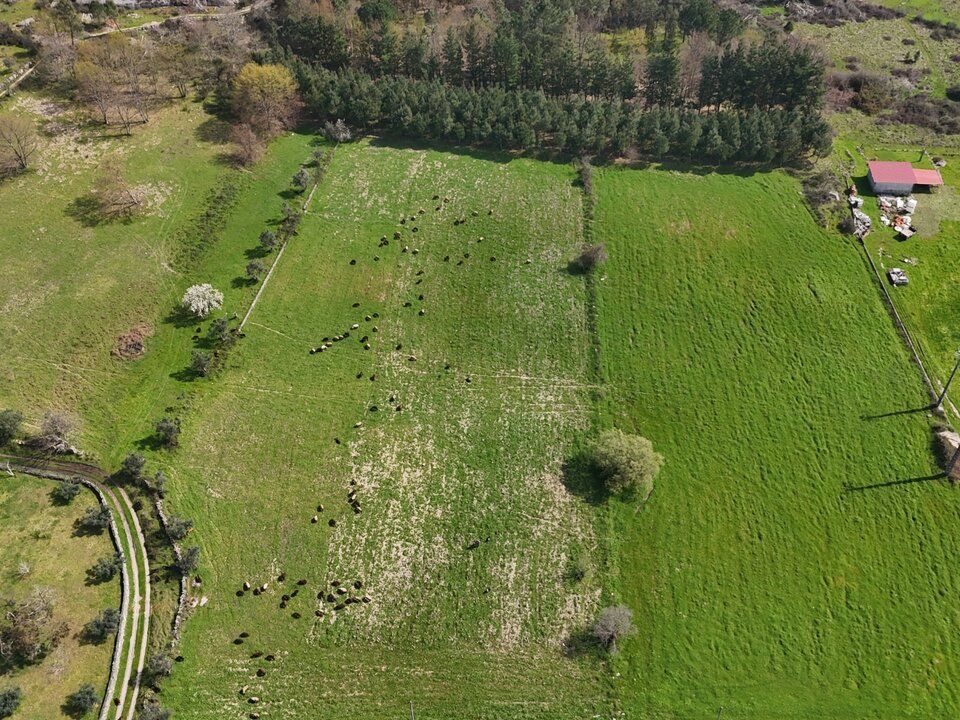 Farm i Tourais e Lajes, Guarda - foto 3