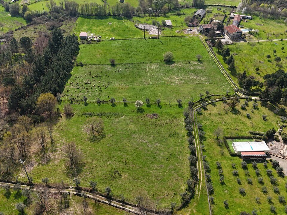 Farm i Tourais e Lajes, Guarda - foto 4