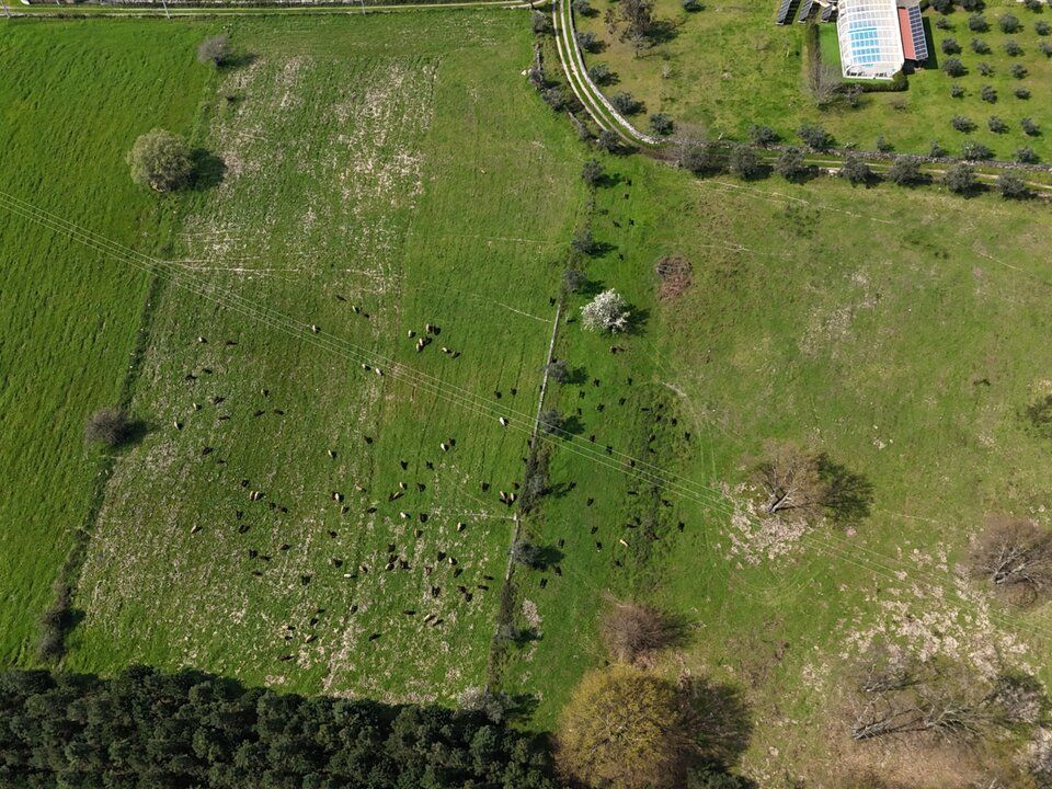 Farm i Tourais e Lajes, Guarda - foto 5